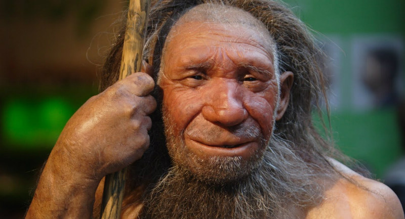 Neandertaller, Modern İnsanlardan Daha Derin Nefes Almalarını Sağlayan Diyaframlara Sahiplerdi
