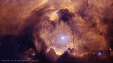 200830 NGC 6357 Cathedral to Massive Stars NASA ESA Günün Astronomi Görseli (APOD/NASA) | 30/08/20