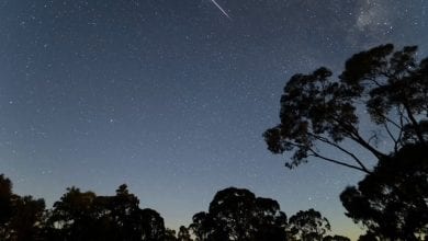 200912 A Thousand Meteors Greg Priestley Günün Astronomi Görseli (APOD/NASA) | 12/09/20