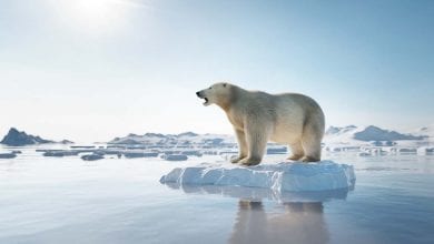 küresel ısınma buzullar iklim değişikliği nedir nedenleri sonuçları