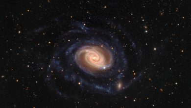 NGC 289: Güney Gökyüzünde Girdap