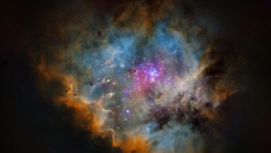 starless color 1024 APOD/NASA: Yıldızlarla Birlikte Yıldızsız