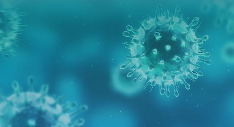 virusler 1 Tıbbi Mikrobiyoloji: Giriş