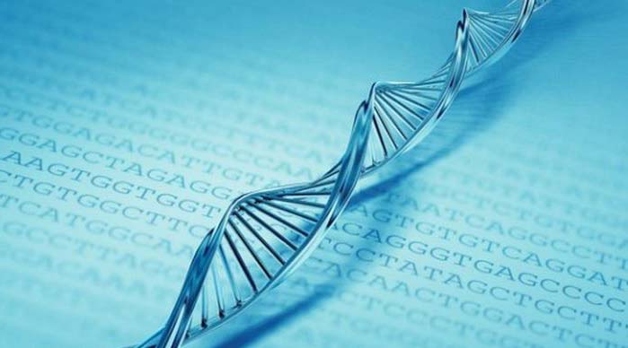 DNA gene cover Gen Nedir?