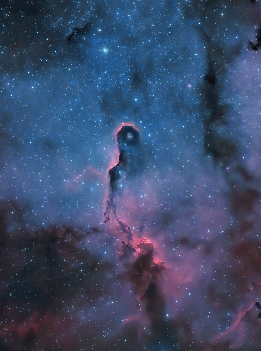 200801 The Elephants Trunk Nebula in Cepheus Günün Astronomi Görseli (APOD/NASA) | 01/08/20
