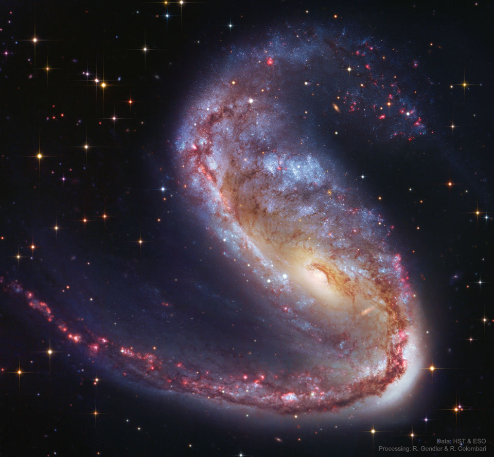 200804 NGC 2442 Galaxy in Volans Günün Astronomi Görseli (APOD/NASA) | 04/08/20