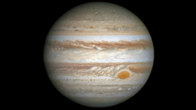 JupiterKapak Juno'dan Dev Gezegen Jüpiter Hakkında Bilgiler