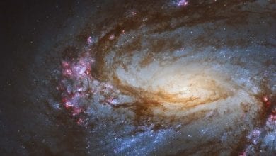 210224 Spiral Galaxy M66 from Hubble 1 1 Günün Astronomi Görseli (APOD/NASA) | 24/02/21