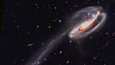 Hubble'dan İribaş Galaksisi