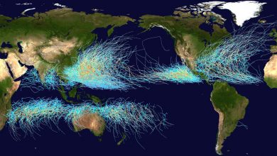 Dünya'daki Siklon Yolları