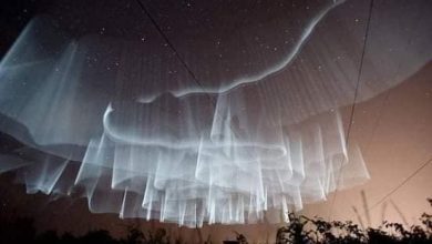 finlandiya beyaz aurora